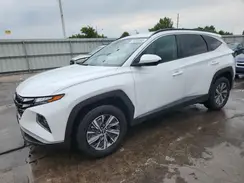 KM8JBCD17RU233099 2024 HYUNDAI TUCSON