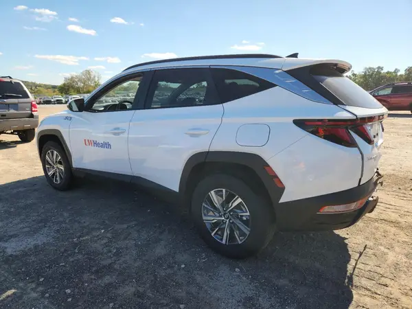 KM8JBCD18RU224556 2024 HYUNDAI TUCSON - Image 2