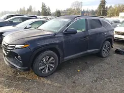 KM8JBCD19RU195682 2024 HYUNDAI TUCSON