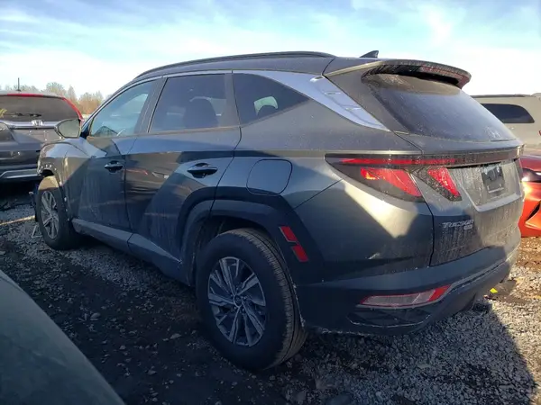 KM8JBCD19RU222587 2024 HYUNDAI TUCSON - Image 2