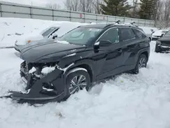 KM8JBCD1XRU198428 2024 HYUNDAI TUCSON
