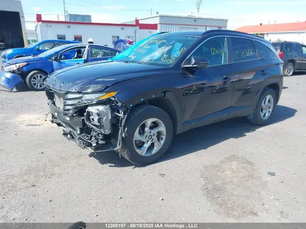 KM8JBCDE0RU325013 2024 HYUNDAI TUCSON - Image 2