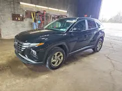 KM8JBCDE1RU294239 2024 HYUNDAI TUCSON