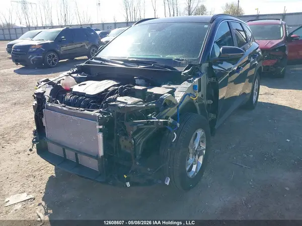 KM8JBCDE1RU338174 2024 HYUNDAI TUCSON - Image 2