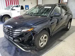 KM8JBCDE2RU300341 2024 HYUNDAI TUCSON