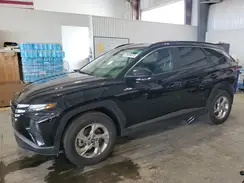 KM8JBCDE2RU303093 2024 HYUNDAI TUCSON