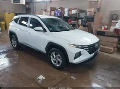 KM8JBCDE2RU303739 2024 HYUNDAI TUCSON