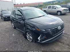 KM8JBCDE2RU314627 2024 HYUNDAI TUCSON