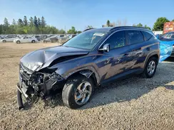 KM8JBCDE2RU330648 2024 HYUNDAI TUCSON