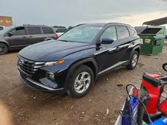 KM8JBCDE3RU319111 2024 HYUNDAI TUCSON