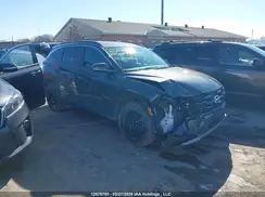 KM8JBCDE3SU435687 2025 HYUNDAI TUCSON
