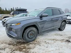 KM8JBCDE5RU266377 2024 HYUNDAI TUCSON