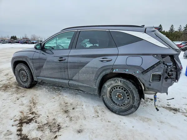 KM8JBCDE5RU266377 2024 HYUNDAI TUCSON - Image 2