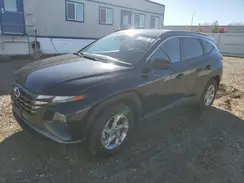 KM8JBCDE5RU283583 2024 HYUNDAI TUCSON