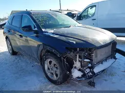 KM8JBCDE5RU325590 2024 HYUNDAI TUCSON
