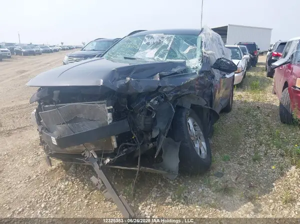 KM8JBCDE5RU338873 2024 HYUNDAI TUCSON - Image 2