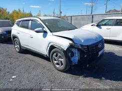 KM8JBCDE5RU341286 2024 HYUNDAI TUCSON
