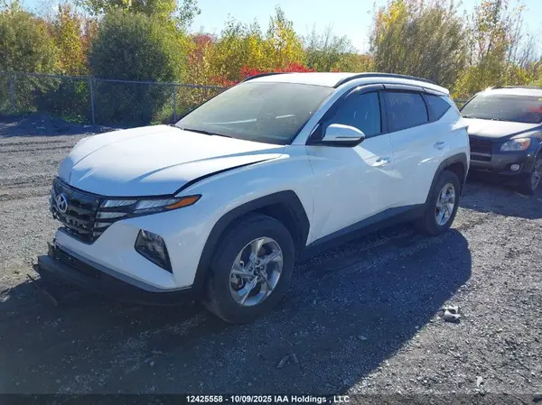KM8JBCDE5RU341286 2024 HYUNDAI TUCSON - Image 2