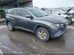 KM8JBCDE5RU348626 2024 HYUNDAI TUCSON
