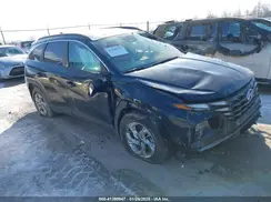 KM8JBCDE6RU283849 2024 HYUNDAI TUCSON