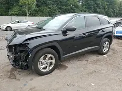 KM8JBCDE6RU296598 2024 HYUNDAI TUCSON