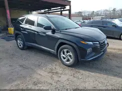 KM8JBCDE6RU300696 2024 HYUNDAI TUCSON