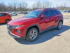 KM8JBCDE6RU346898 2024 HYUNDAI TUCSON
