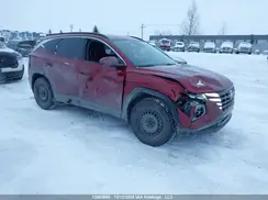 KM8JBCDE6RU353835 2024 HYUNDAI TUCSON