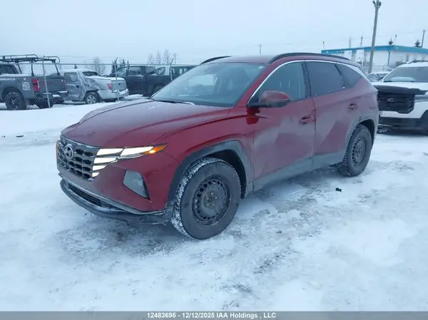 KM8JBCDE6RU353835 2024 HYUNDAI TUCSON - Image 2