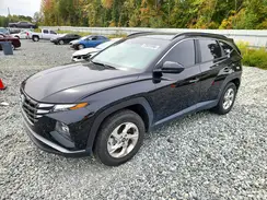 KM8JBCDE7RU271533 2024 HYUNDAI TUCSON