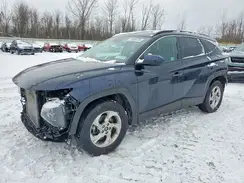 KM8JBCDE7RU310282 2024 HYUNDAI TUCSON