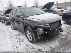 KM8JBCDE7RU317166 2024 HYUNDAI TUCSON