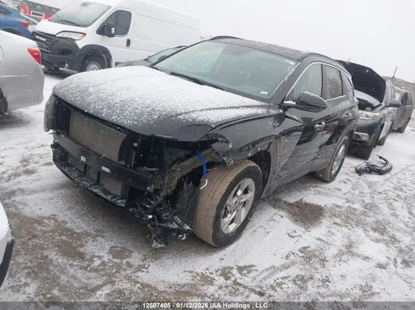 KM8JBCDE7RU317166 2024 HYUNDAI TUCSON - Image 2