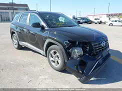 KM8JBCDE7RU345498 2024 HYUNDAI TUCSON