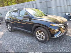 KM8JBCDE7RU347686 2024 HYUNDAI TUCSON