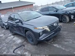 KM8JBCDE8RU292908 2024 HYUNDAI TUCSON