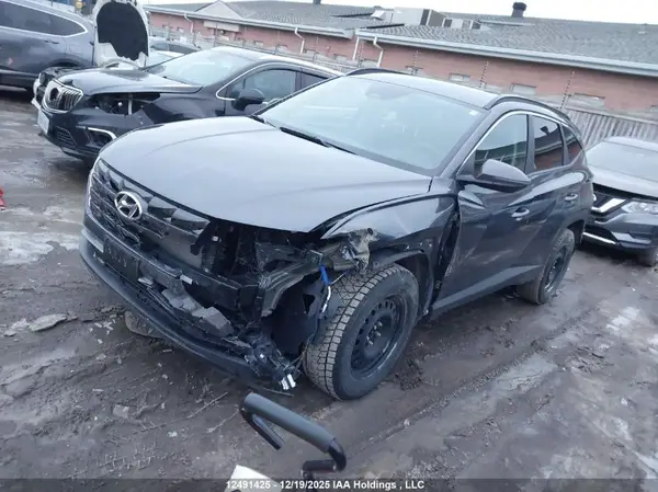KM8JBCDE8RU292908 2024 HYUNDAI TUCSON - Image 2