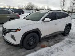 KM8JBCDE8RU306967 2024 HYUNDAI TUCSON