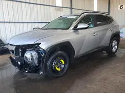 KM8JBCDE8RU310601 2024 HYUNDAI TUCSON