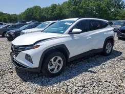 KM8JBCDE8RU314664 2024 HYUNDAI TUCSON