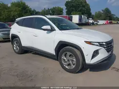 KM8JBCDE8RU323509 2024 HYUNDAI TUCSON