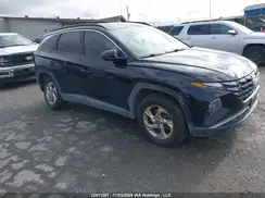 KM8JBCDE8RU339175 2024 HYUNDAI TUCSON