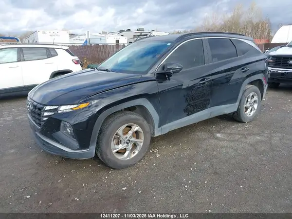 KM8JBCDE8RU339175 2024 HYUNDAI TUCSON - Image 2