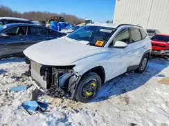 KM8JBCDE8RU348054 2024 HYUNDAI TUCSON