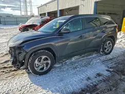 KM8JBCDE9RU285840 2024 HYUNDAI TUCSON
