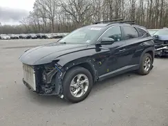 KM8JBCDE9RU307903 2024 HYUNDAI TUCSON