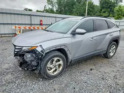 KM8JBCDEXRU282669 2024 HYUNDAI TUCSON