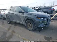 KM8JBCDEXRU291193 2024 HYUNDAI TUCSON