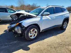KM8JBCDEXRU315220 2024 HYUNDAI TUCSON