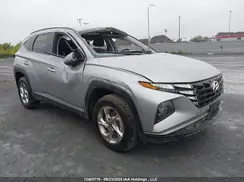 KM8JBCDEXRU323303 2024 HYUNDAI TUCSON